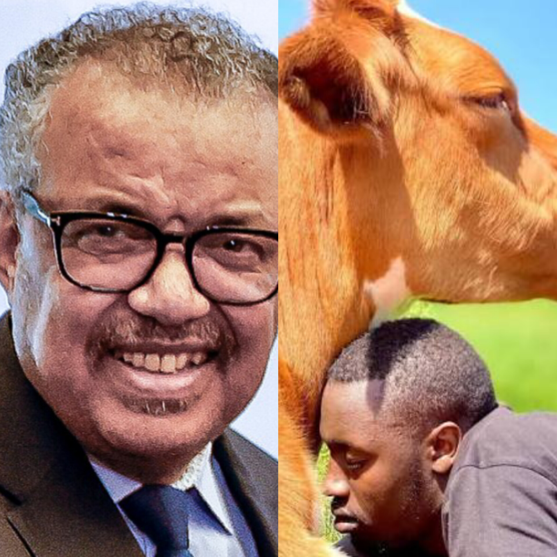 Tedros yashimiye Ngabo Karegeya 
