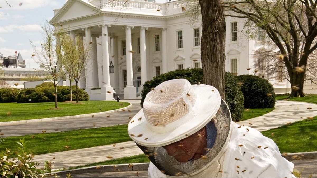 Inzuki zibasiye White House